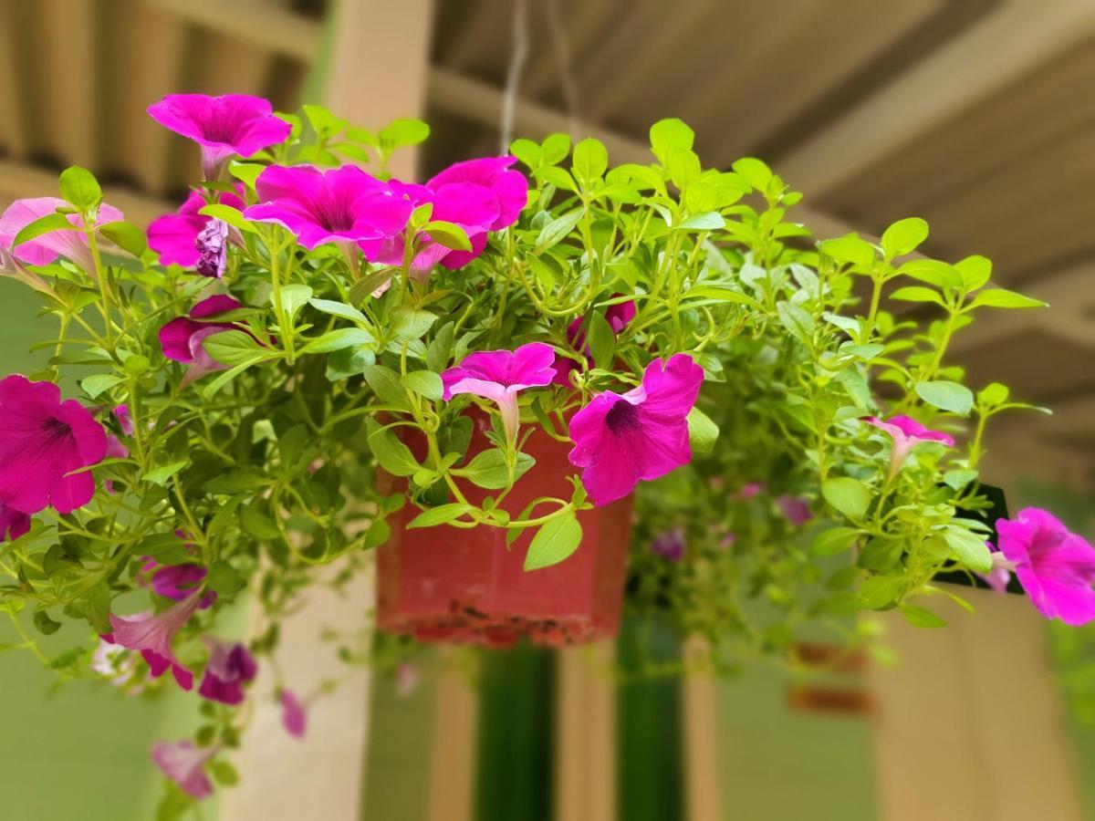 Bansoi 1 & Alley One Cafe Транг Екстериор снимка